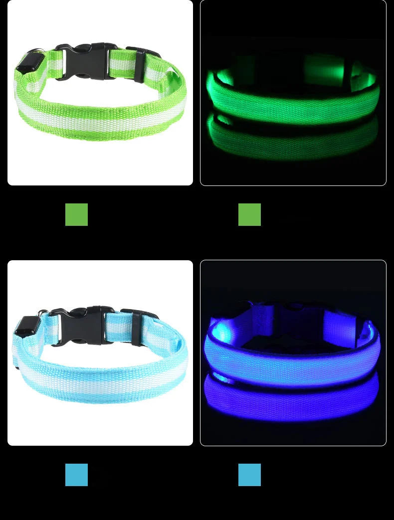 Nylon LED Dog Leash & Collar Set - Glow in the Dark, Safety Flashing Light