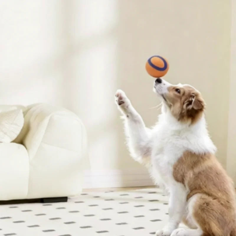 Tough Dog Toy Ball Chew Proof Elastic Fetch Ball for All Dog Sizes