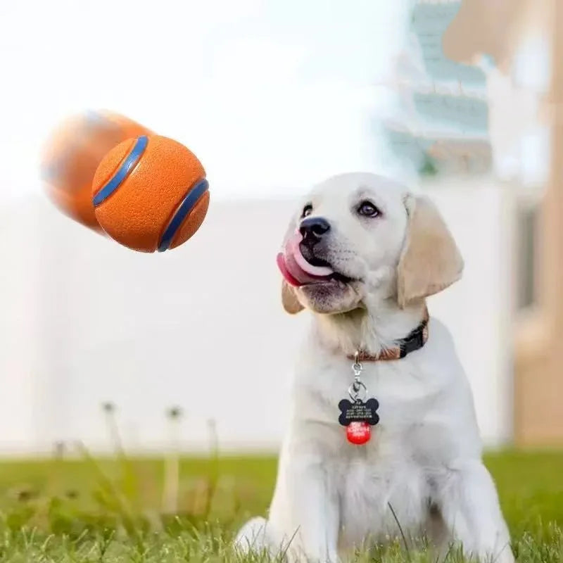 Tough Dog Toy Ball Chew Proof Elastic Fetch Ball for All Dog Sizes