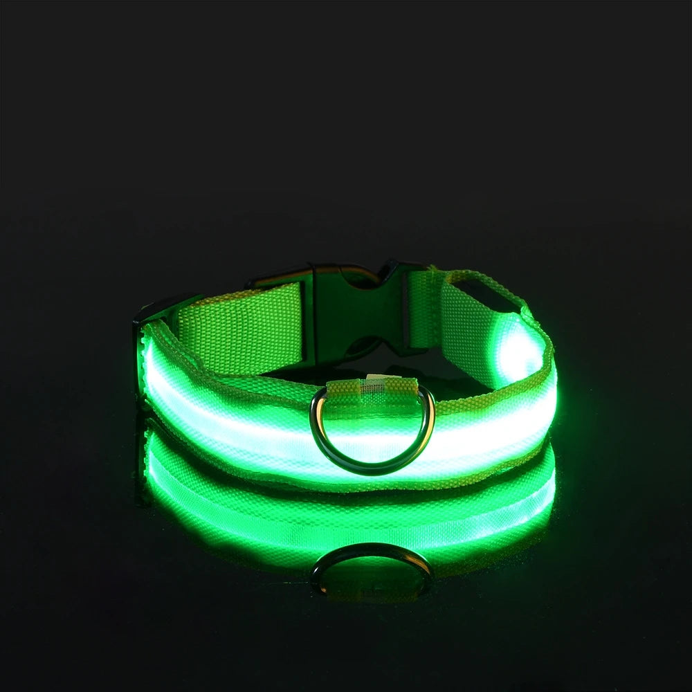 Nylon LED Dog Leash & Collar Set - Glow in the Dark, Safety Flashing Light