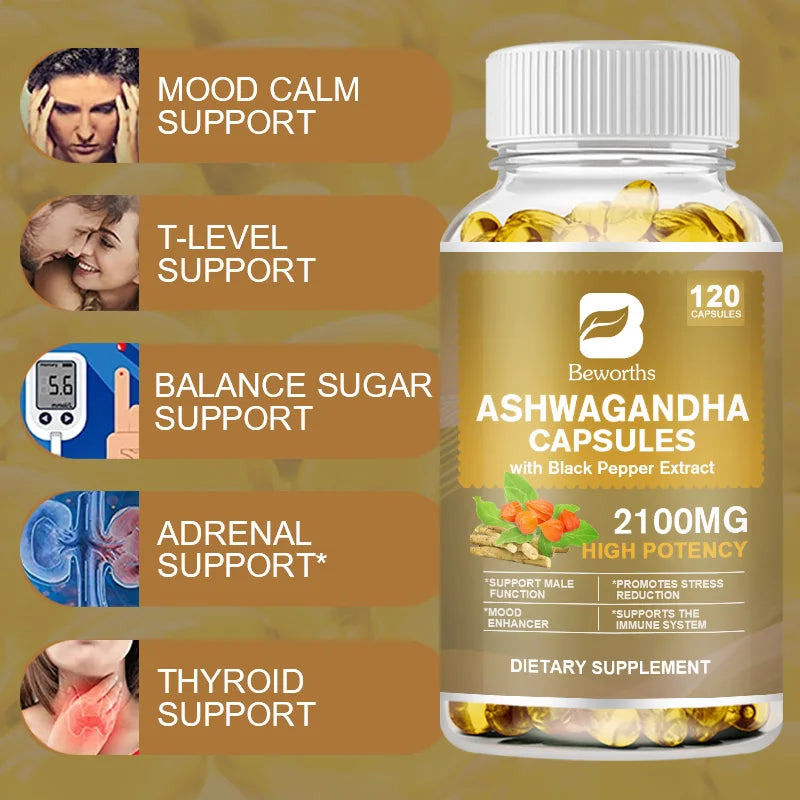 Ashwagandha Root Extract Capsules for Daily Routines, 60 Count