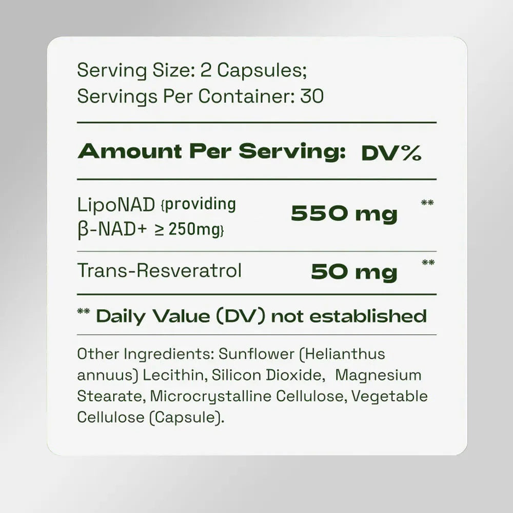 NAD Supplement 500mg - 60 Caps for Brain Function & Cellular Energy Support