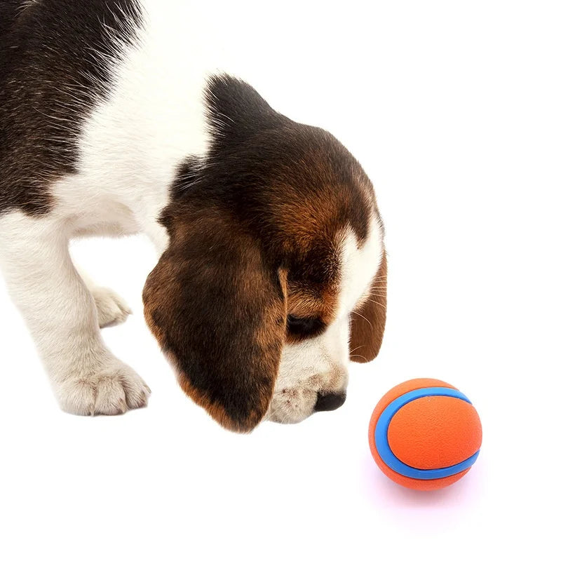 Tough Dog Toy Ball Chew Proof Elastic Fetch Ball for All Dog Sizes