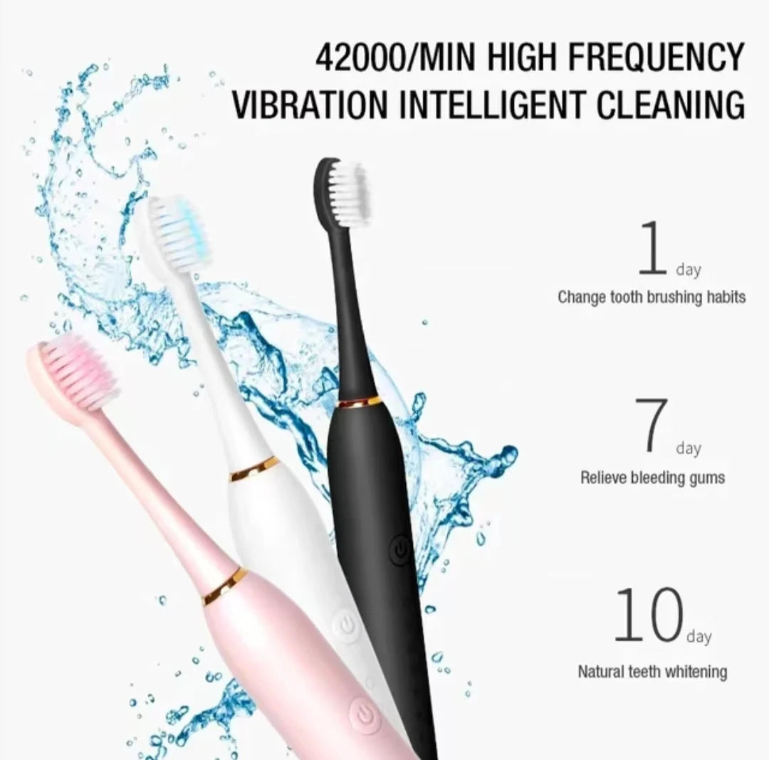 Sonic Electric Toothbrush IPX7 Waterproof USB Rechargeable 6 Modes