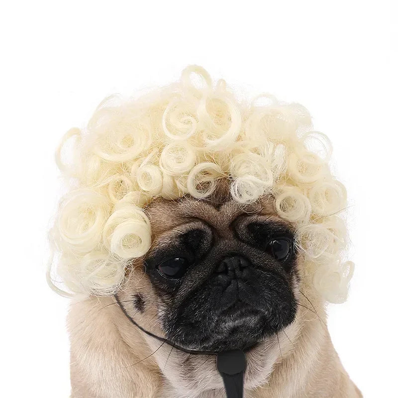 Pet Wig for Dogs & Cats - Curly & Straight Hair - DIY Halloween Accessory