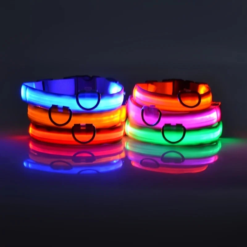 Nylon LED Dog Leash & Collar Set - Glow in the Dark, Safety Flashing Light