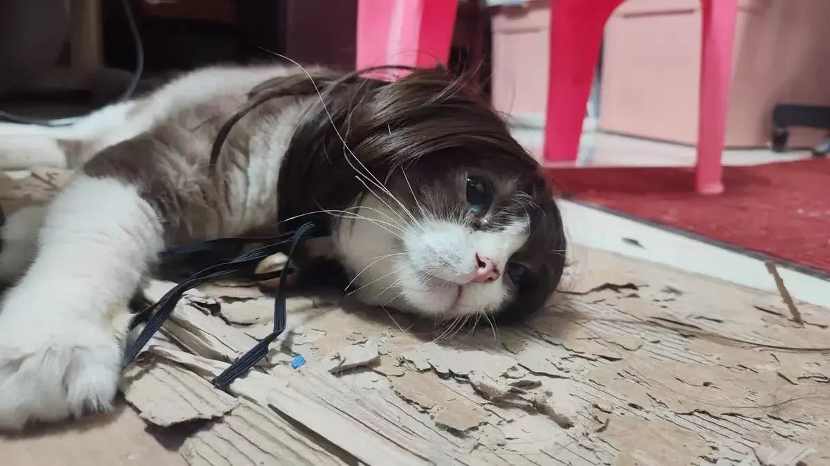 Pet Wig for Dogs & Cats - Curly & Straight Hair - DIY Halloween Accessory