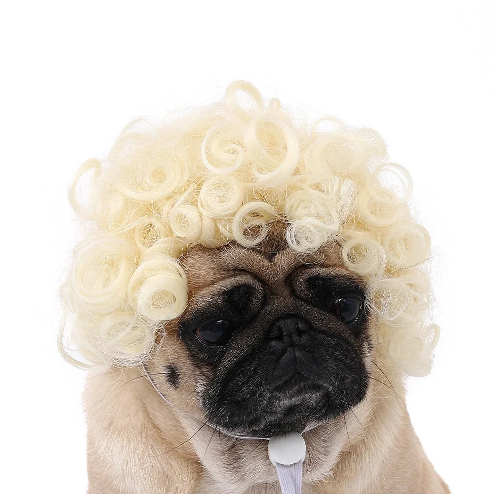 Pet Wig for Dogs & Cats - Curly & Straight Hair - DIY Halloween Accessory