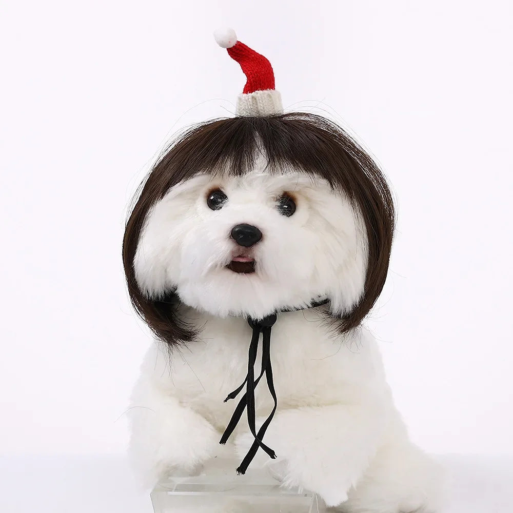 Pet Wig for Dogs & Cats - Curly & Straight Hair - DIY Halloween Accessory