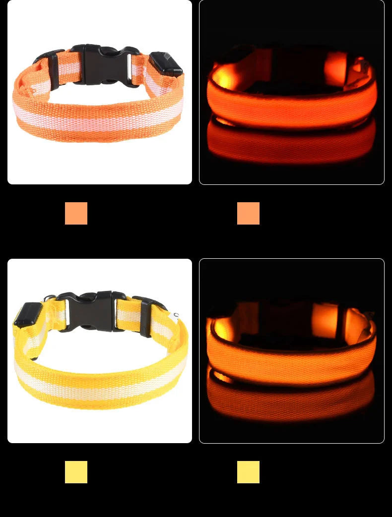 Nylon LED Dog Leash & Collar Set - Glow in the Dark, Safety Flashing Light