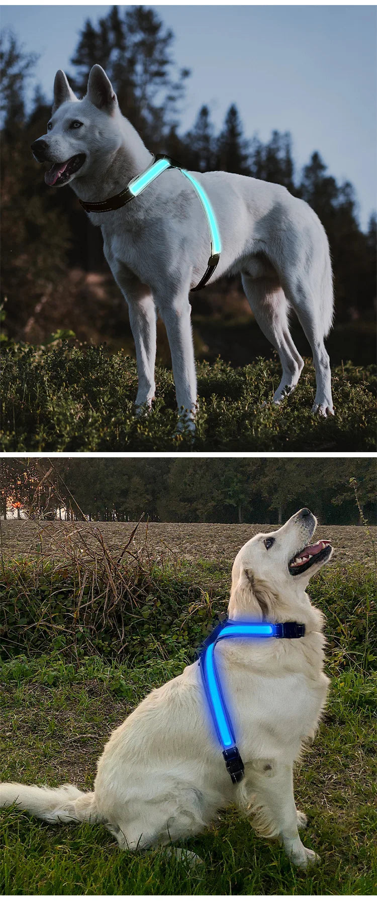 Color Changing LED Light Pet Collar with 8 Gears - Explosion-Proof Traction