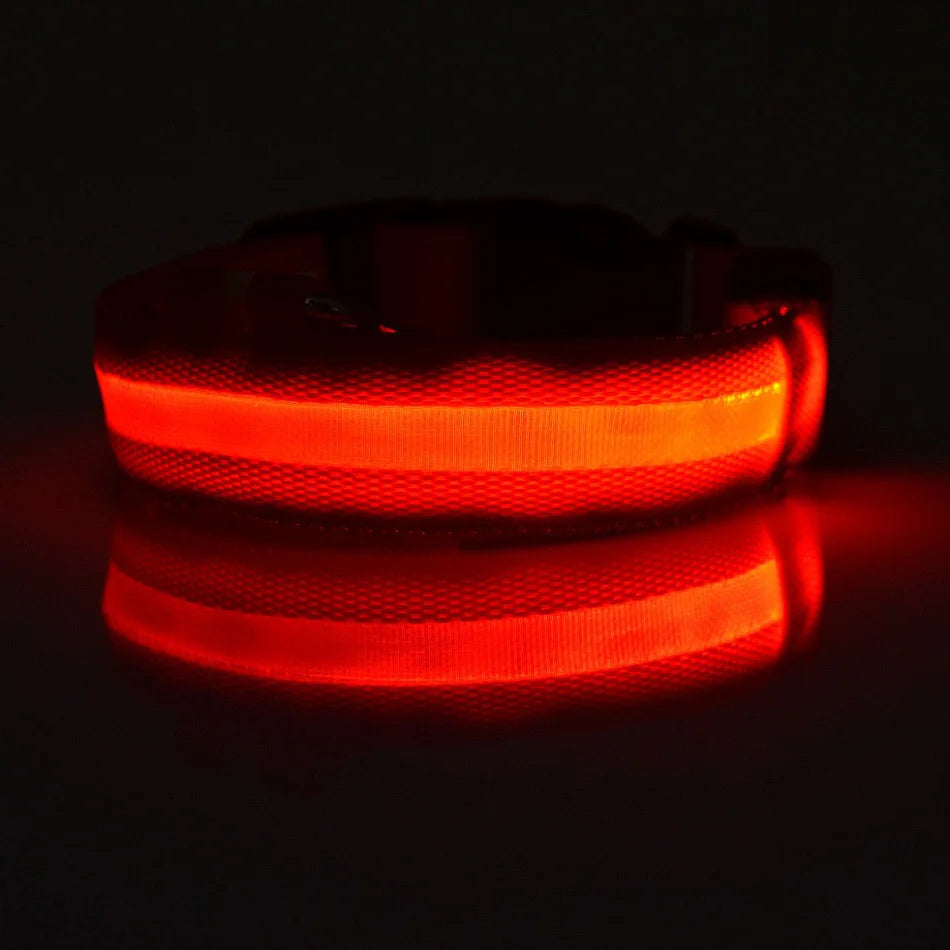 Nylon LED Dog Leash & Collar Set - Glow in the Dark, Safety Flashing Light