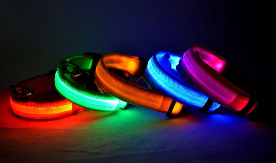 Nylon LED Dog Leash & Collar Set - Glow in the Dark, Safety Flashing Light
