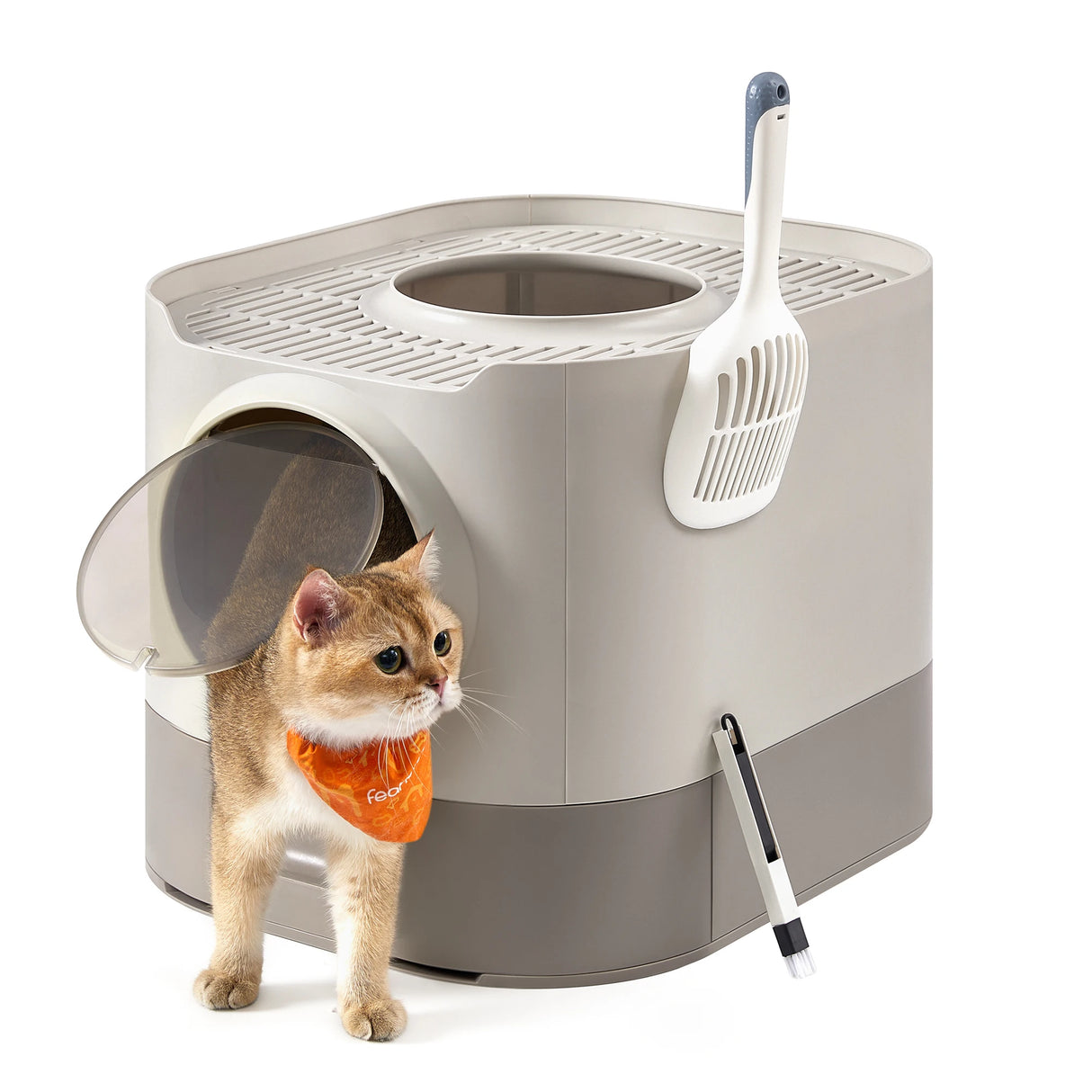 Enclosed Cat Litter Box with Lid and Slide-Out Tray - XL