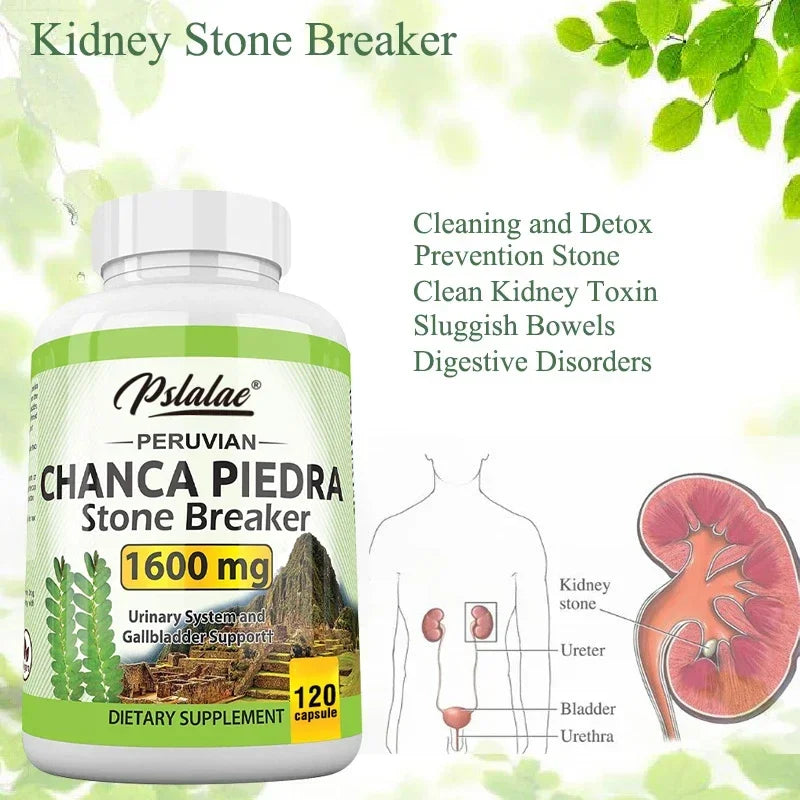 Chanca Piedra Capsules 1600mg - Non-GMO Dietary Supplement, 60 Count