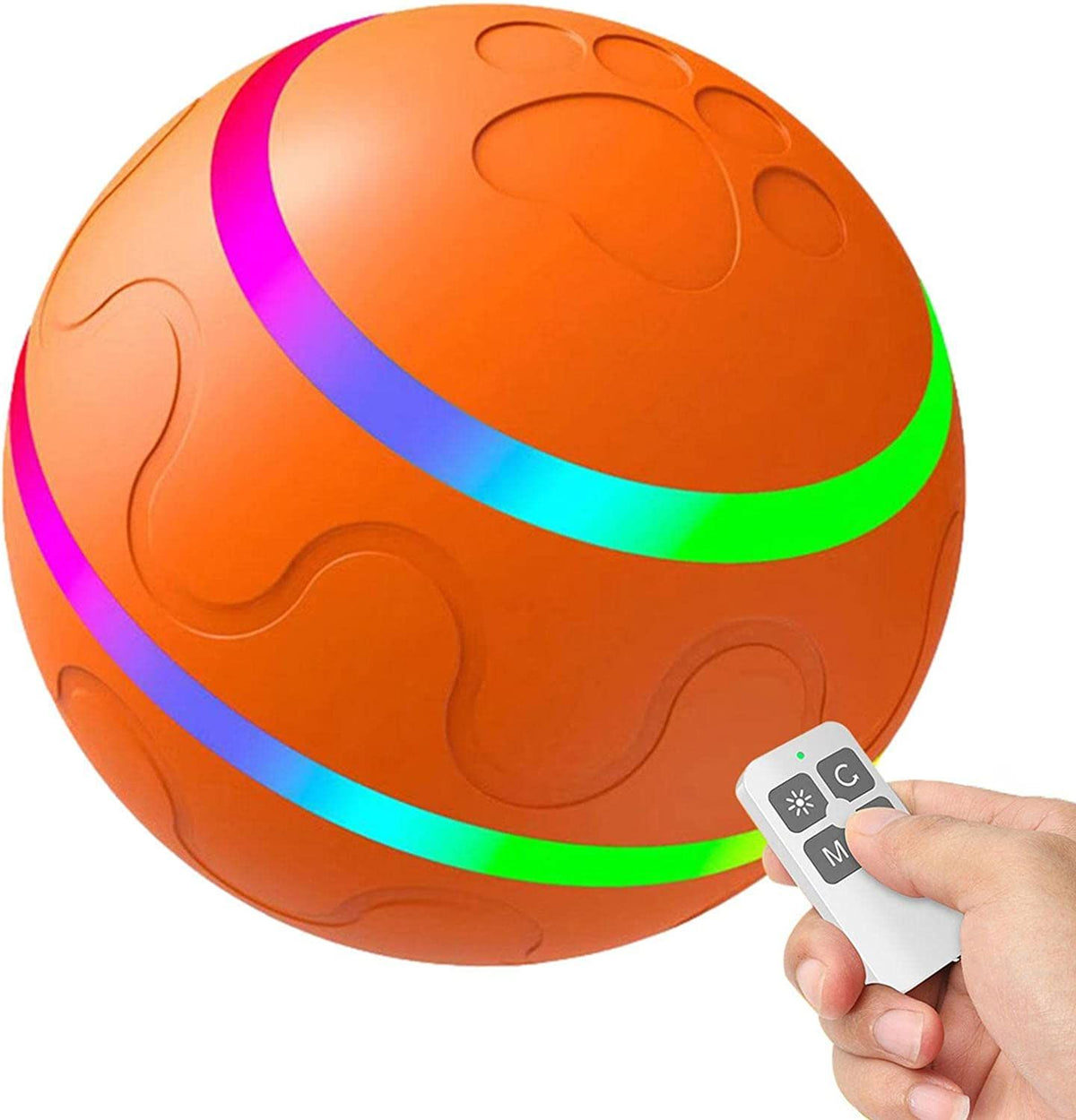 565575311