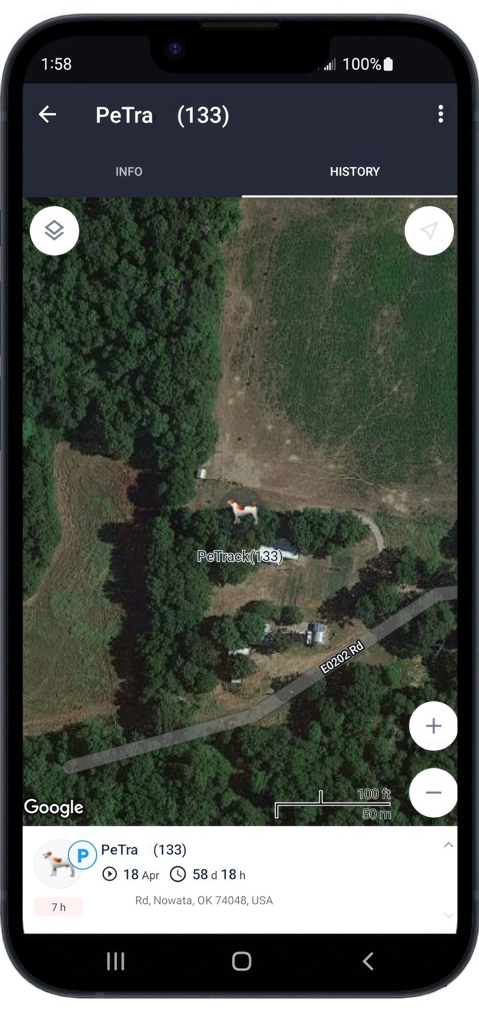 539916851