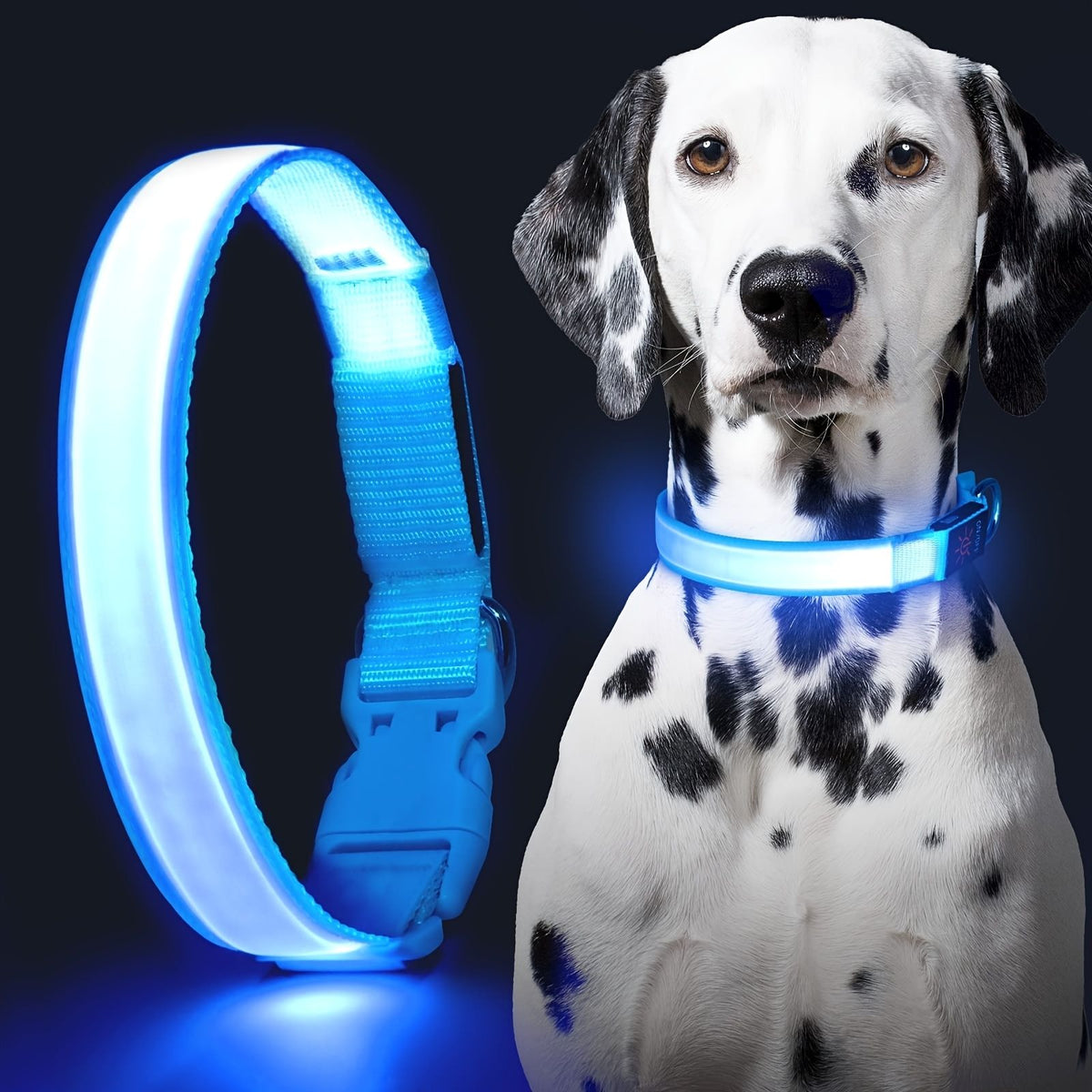 565577251