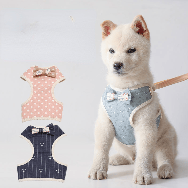 565579811