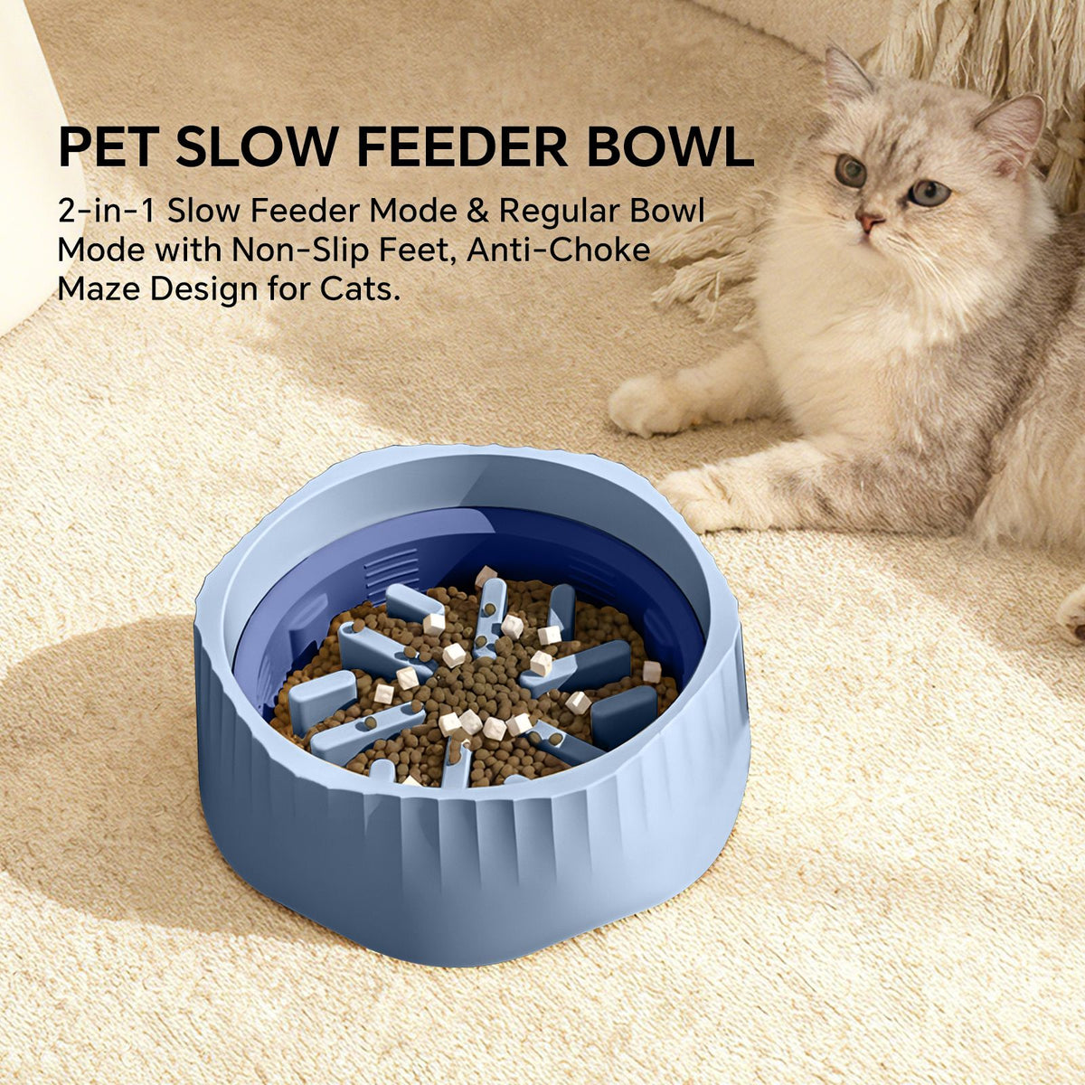 565586981