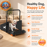 Dog Treadmill for Small & Medium Dogs with LCD Display