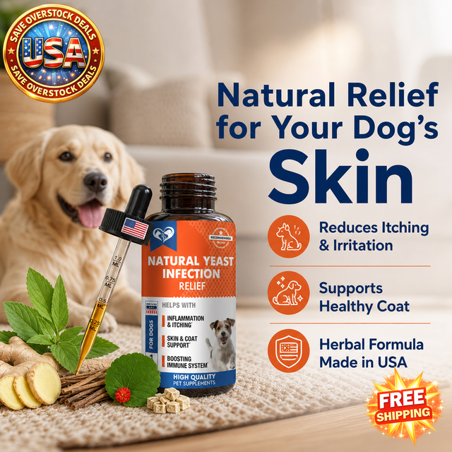 Natural Dog Yeast Infection Treatment for Itchy Ears