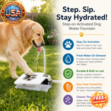 Outdoor Dog Water Fountain with Step-on Sprinkler Feature