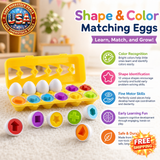 Shape and Color Matching Eggs Educational Toy for Toddlers