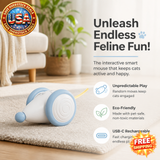 Cheerble Interactive Cat Toy with LED Lights, USB-C Rechargeable