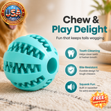 Dog Squeaky Ball Toy for Dogs - Bite Resistant Chew Toy