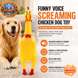 Screaming Chicken Pet Toy - Funny Rubber Dog Toy