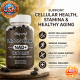 Liposomal NAD Supplement for Cellular Health & Stamina