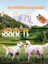 Electronic Training Collar 3600FT Range 4 Modes 99 Levels IP65 Waterproof