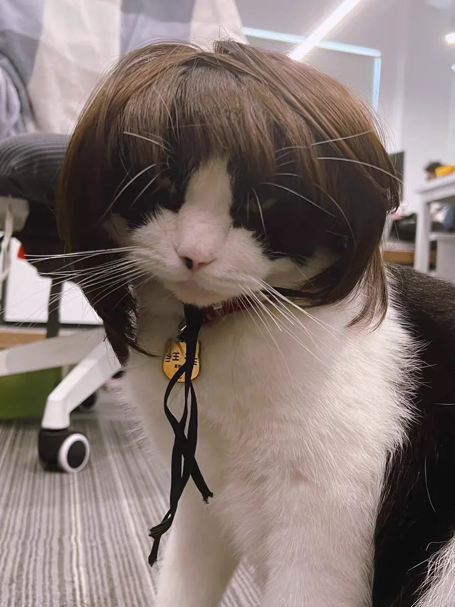 Pet Wig for Dogs & Cats - Curly & Straight Hair - DIY Halloween Accessory