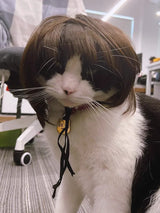 Pet Wig for Dogs & Cats - Curly & Straight Hair - DIY Halloween Accessory