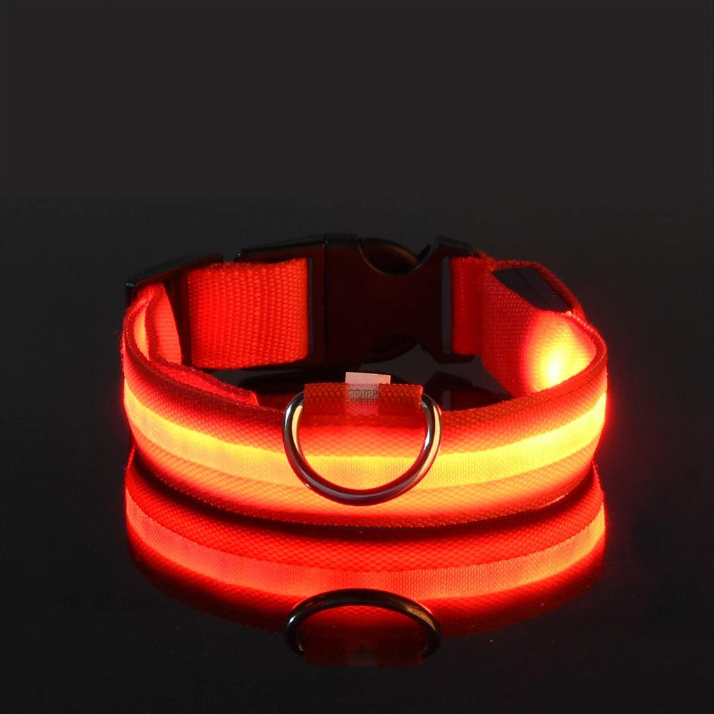 Nylon LED Dog Leash & Collar Set - Glow in the Dark, Safety Flashing Light