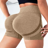 Seamless High-Waist Yoga Shorts for Women - Quick-Drying Sports Wear