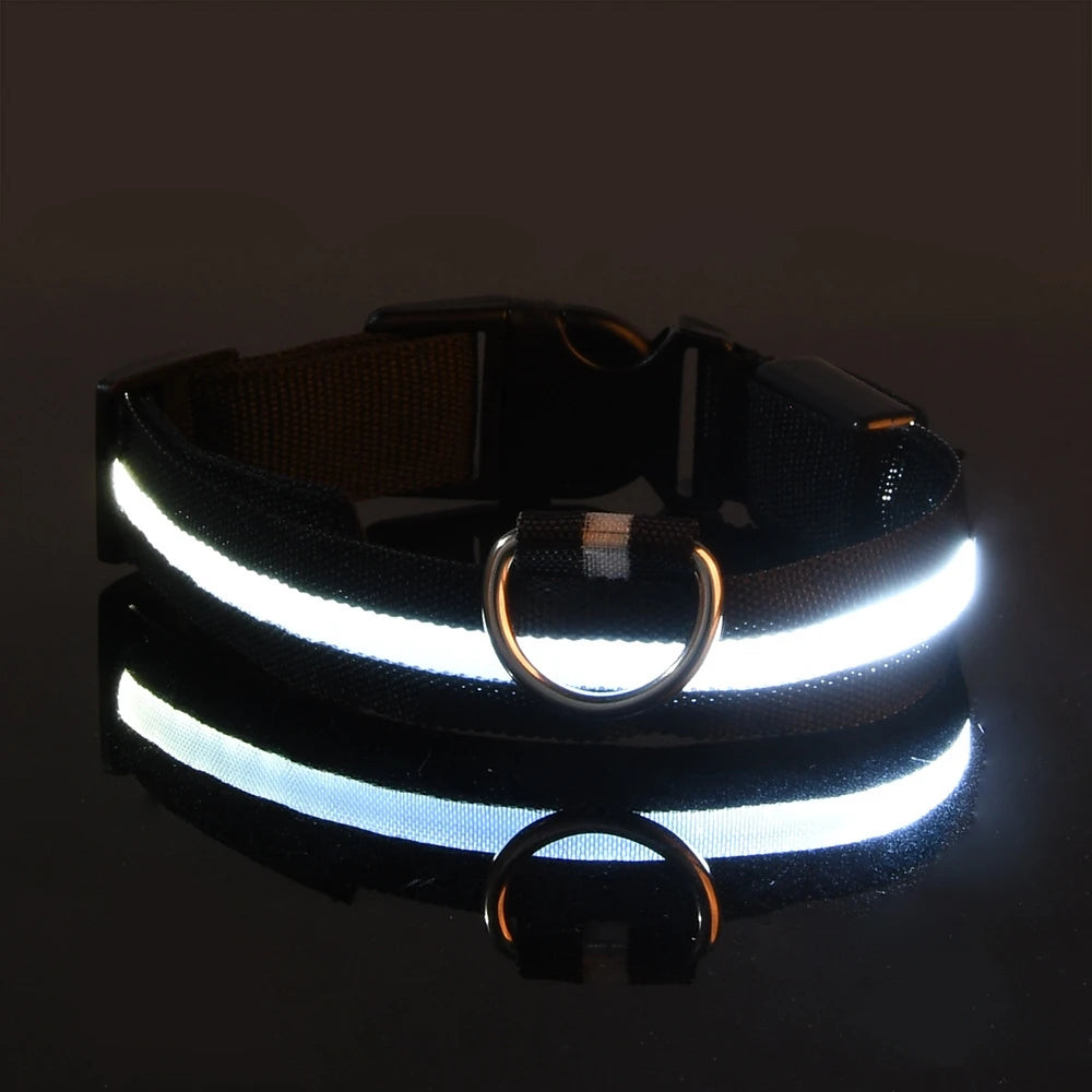 Nylon LED Dog Leash & Collar Set - Glow in the Dark, Safety Flashing Light
