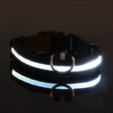 Nylon LED Dog Leash & Collar Set - Glow in the Dark, Safety Flashing Light