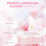 Sakura Skin Care Set with Cleanser, Serum, Eye Cream, Facial Cream - Travel Kit