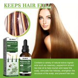 Rosemary Hair Growth Oil for Men & Women - Nourishing Scalp Care 100ml