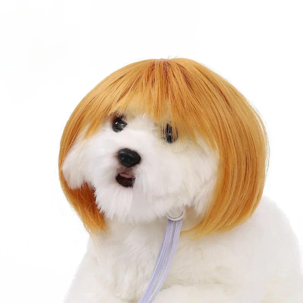 Pet Wig for Dogs & Cats - Curly & Straight Hair - DIY Halloween Accessory