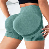 Seamless High-Waist Yoga Shorts for Women - Quick-Drying Sports Wear