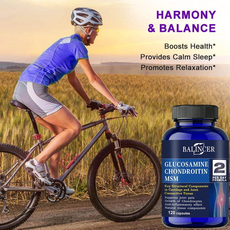 Glucosamine Chondroitin MSM Joint Support Supplement - 3-in-1 Formula