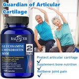 Glucosamine Chondroitin MSM Joint Support Supplement - 3-in-1 Formula