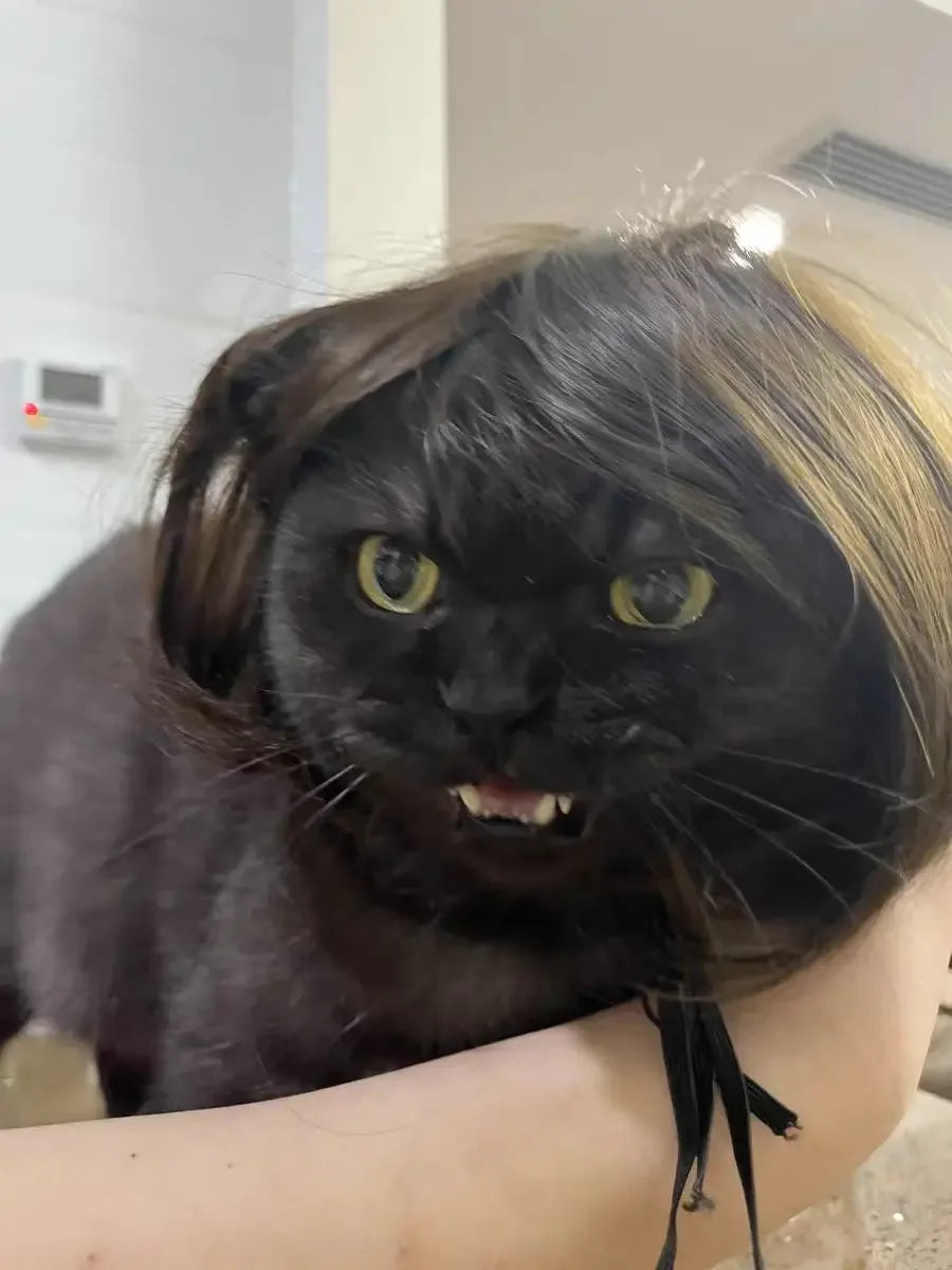 Pet Wig for Dogs & Cats - Curly & Straight Hair - DIY Halloween Accessory