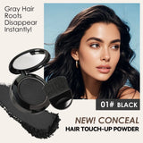 Quick Touch-Up Hair Stick Portable Temporary Coverage Hair Pen 2-Pack