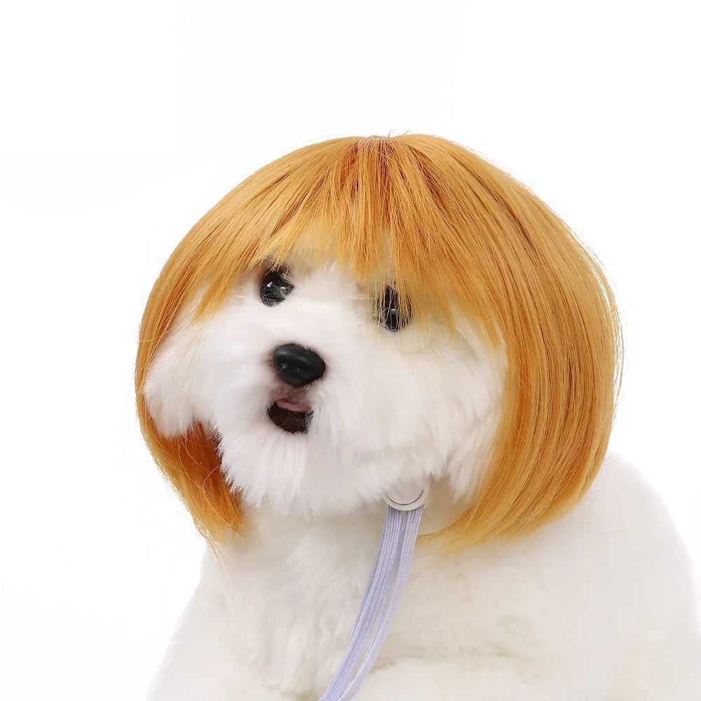 Pet Wig for Dogs & Cats - Curly & Straight Hair - DIY Halloween Accessory