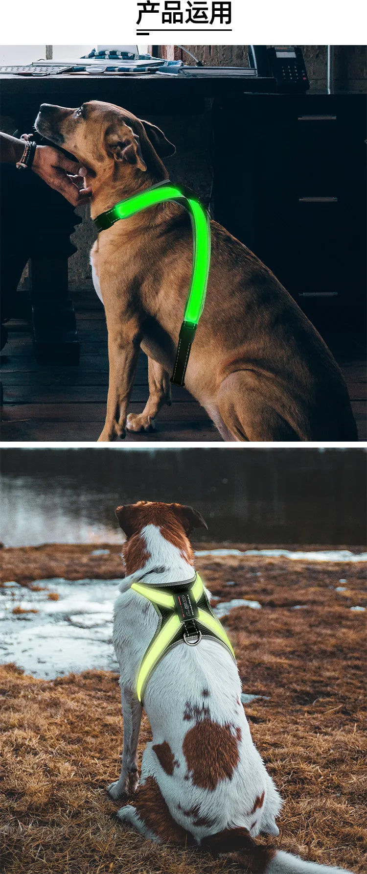 Color Changing LED Light Pet Collar with 8 Gears - Explosion-Proof Traction