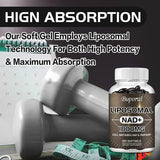 Liposomal NAD Supplement - Cellular Health Support & Stamina Boost
